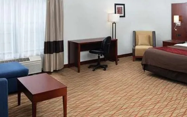 Comfort Inn Central Auburn