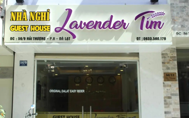 Lavender Tim