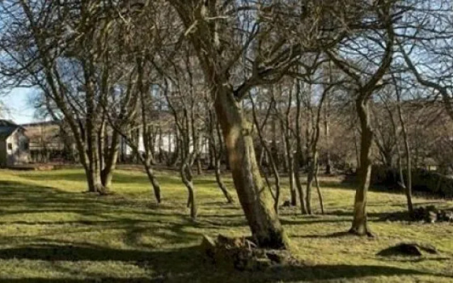 Low House Haven