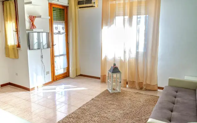 Holiday House