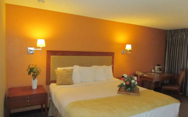 Ramada by Wyndham Tucson Airport