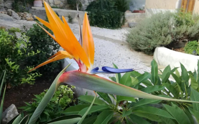 Casa Vacanze Sidda
