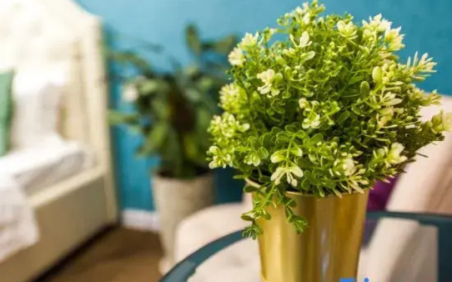 Xiqi Boutique Stay Hotel (Wuhan University Donghu)