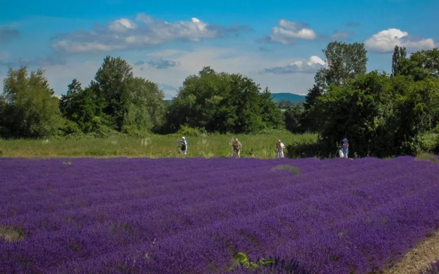 La Moutière