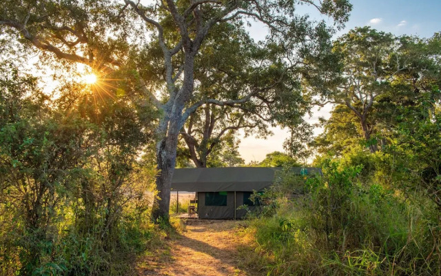 Kruger Untamed - Tshokwane River Camp