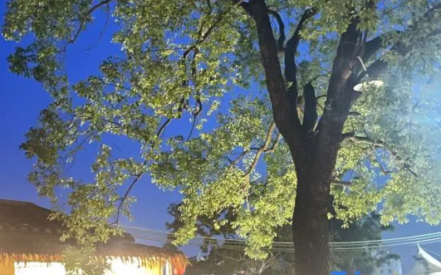 Yukang Valley Courtyard