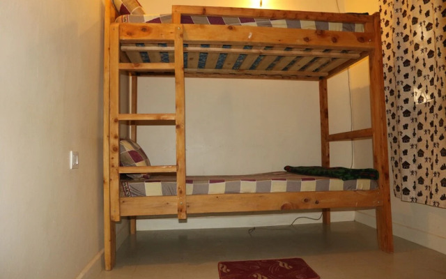 The Paradise In Backpackers