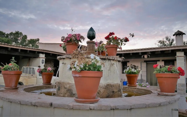 Finca La Constancia