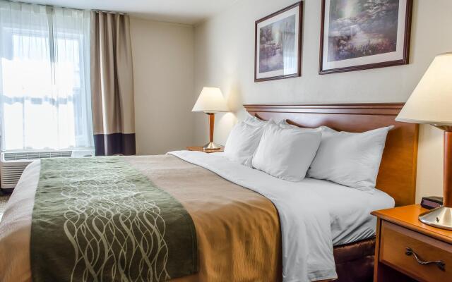 Comfort Inn Selinsgrove In Danville United States Of America From