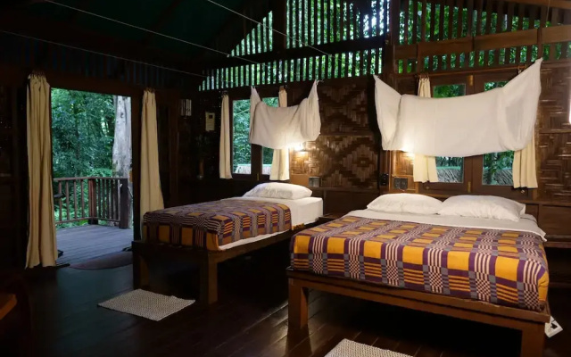 Our Jungle House