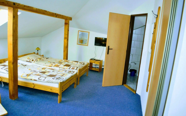 Turistic Accommodation Zencuch