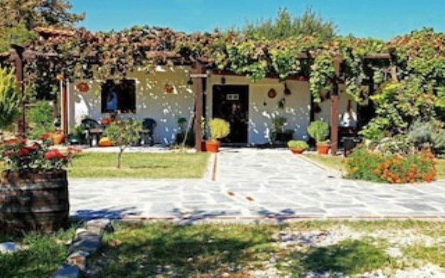 Dionysus Apartments in Olimpiada, Greece from 114$, photos, reviews - zenhotels.com