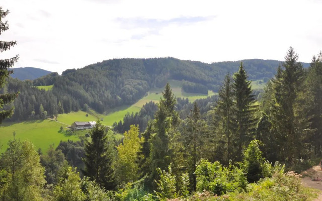 Haslaustube