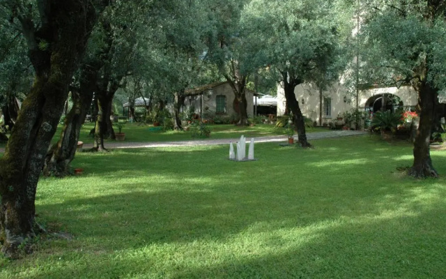 Antico Uliveto