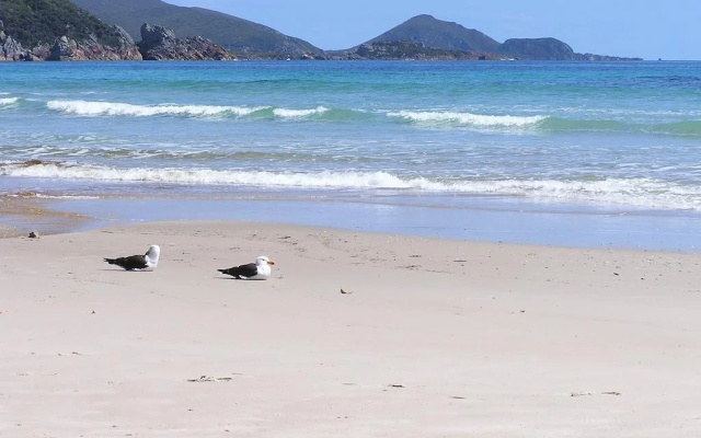 Eagles Rise Tasmania