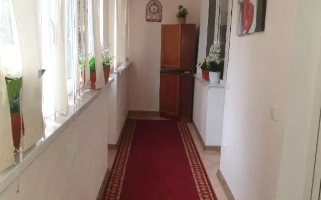 Alin Apartament