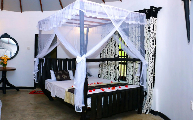Turtle Watch Cabana