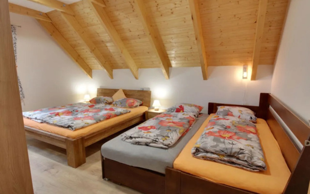 Apartment U Krále Kořenov
