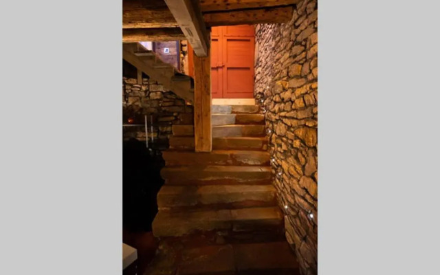 Caveau Contemporain Kv'o37 (Adults Only)