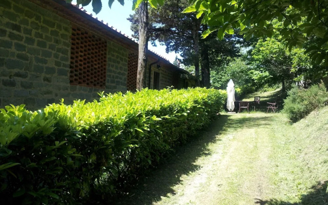 Amazing Stay in Tuscany Rustic Style