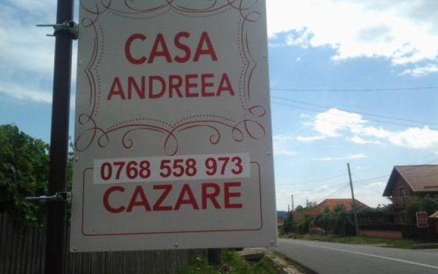 Pensiunea CASA ANDREEA in Horezu, Romania from 87$, photos, reviews - zenhotels.com hotel front
