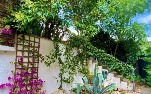 Le Chat Vert - Appartements Adults Only