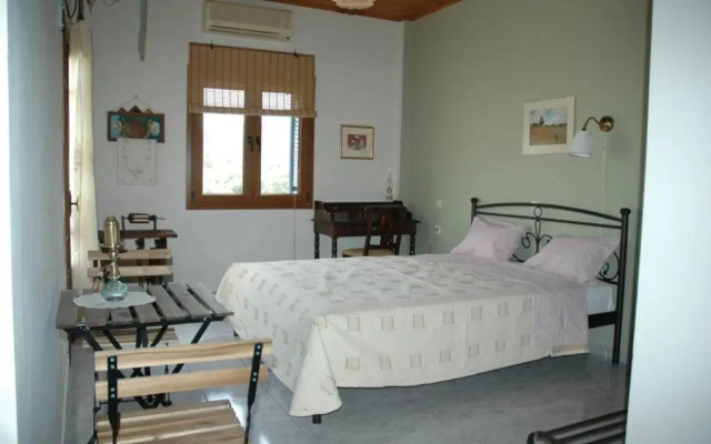 Elenis Olive green Studio