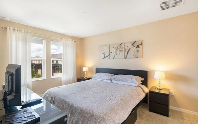 Compass Bay 3167