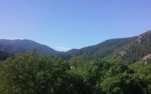 Guest House on Gogebashvili 5