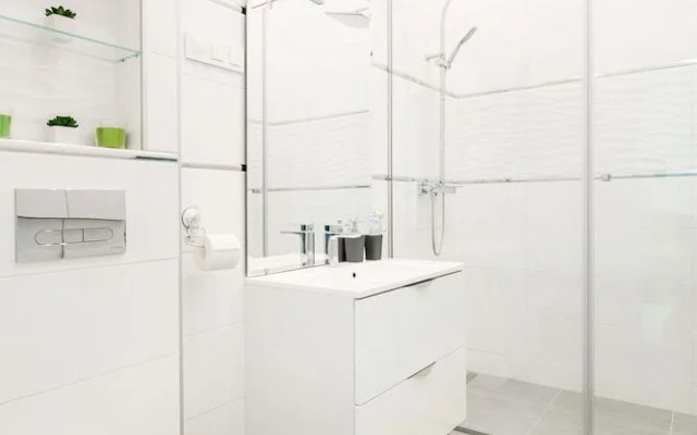 Zirnyi 9 Apartment