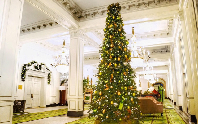 The St. Anthony, A Luxury Collection Hotel, San Antonio