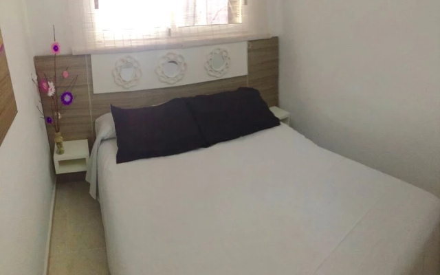 Albatros Apartment