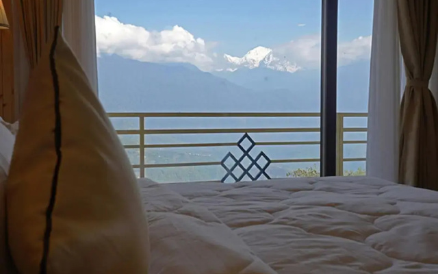 Retreat crassula ovata