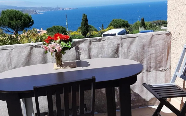 Appartement Banyuls-sur-Mer, 1 pièce, 4 personnes - FR-1-309-90