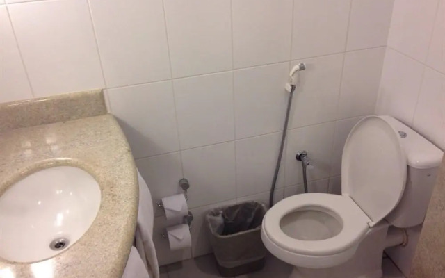 ibis Lins