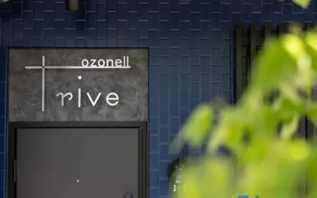 Trive Ozone 2