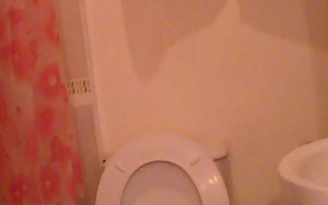 Oazis Guest House