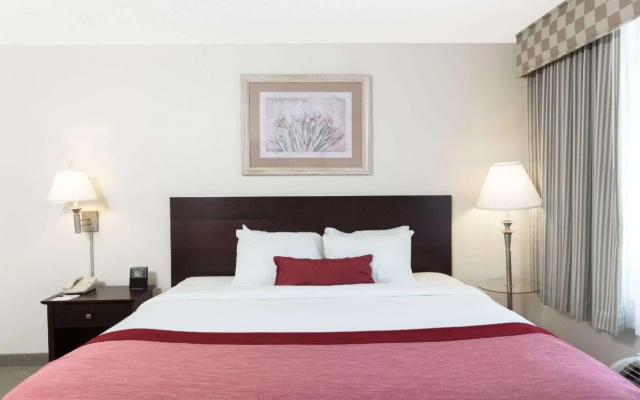Spark by Hilton Tupelo