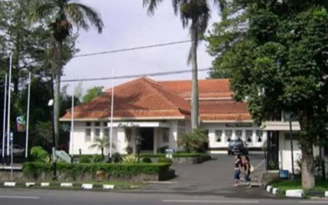 Royal Dago
