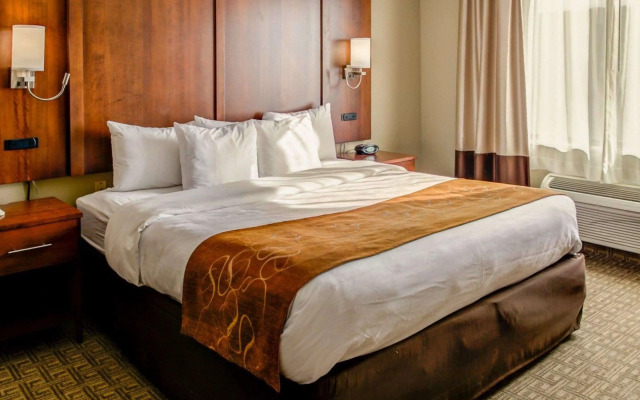 Comfort Suites Georgetown