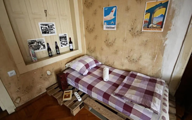 Хостел Dingo Backpackers