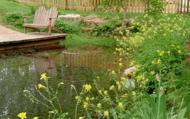 Sycamore Springs