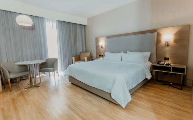 Hilton Garden Inn Silao Aeropuerto Bajio