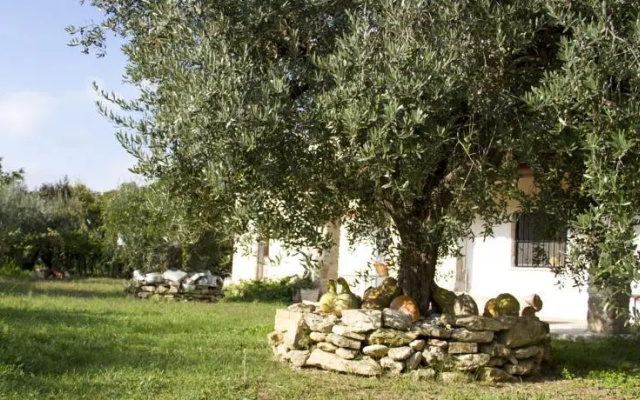 Casa DellArciprete B&B