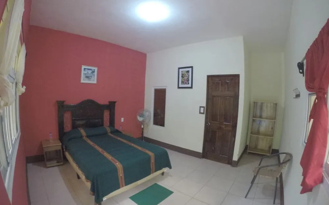 Hostal Oasis The Traveler - Hostel