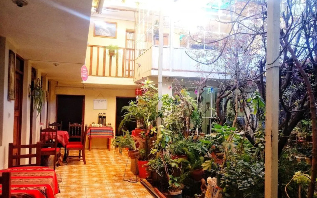 The Secret Garden Home Cusco