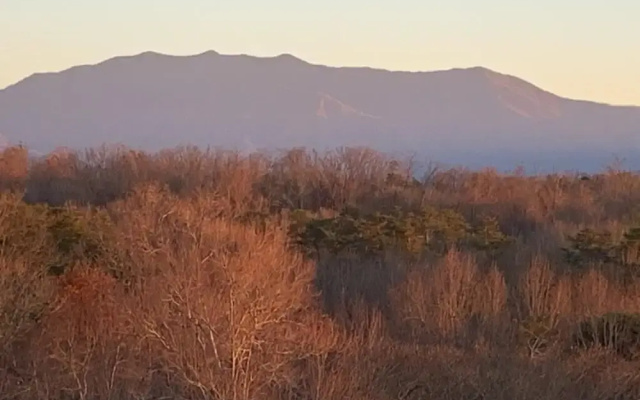 Mountain View Condo 3702