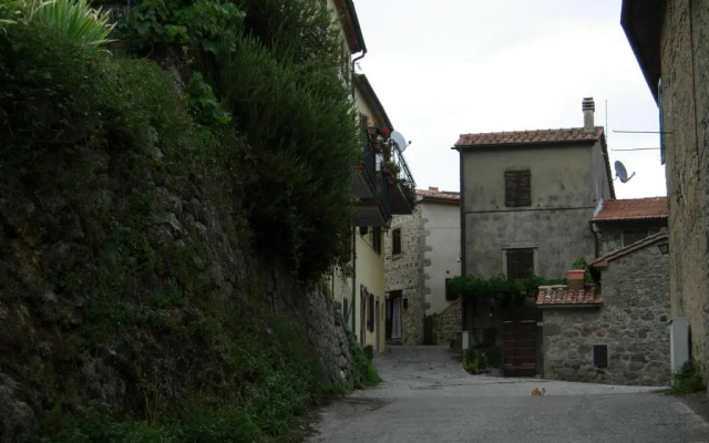 Il Pino Amiata