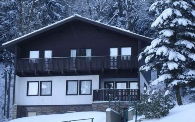 Chalet in Dolni Brusnice Near Ski Lift