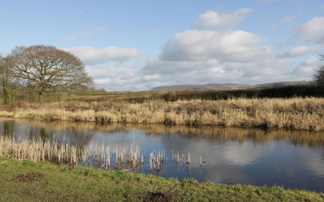The Furrows